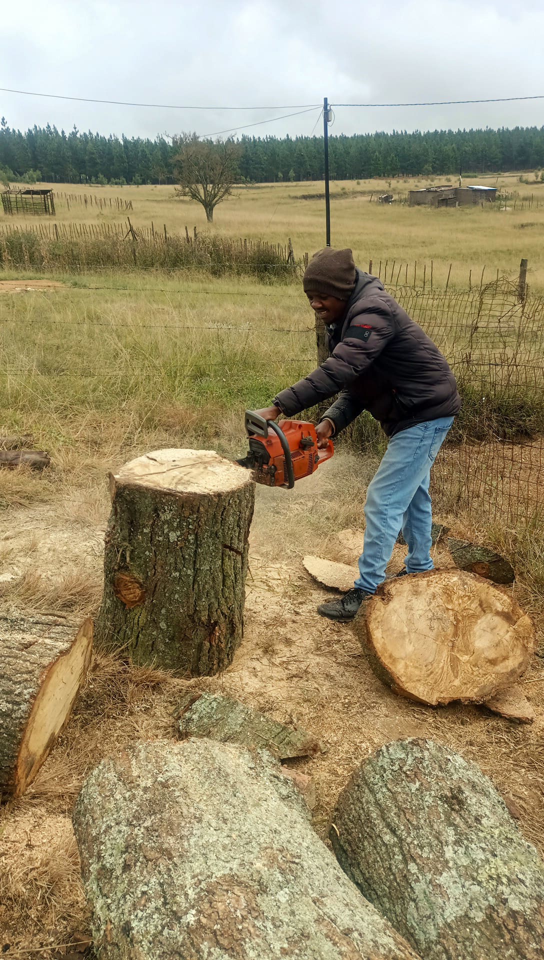 A person wearing a black jacket, beanie, and jeans uses a chainsaw to cut a large tree stump outdoors in a grassy, rural area, with logs around and a wooden fence in the background under a cloudy sky.