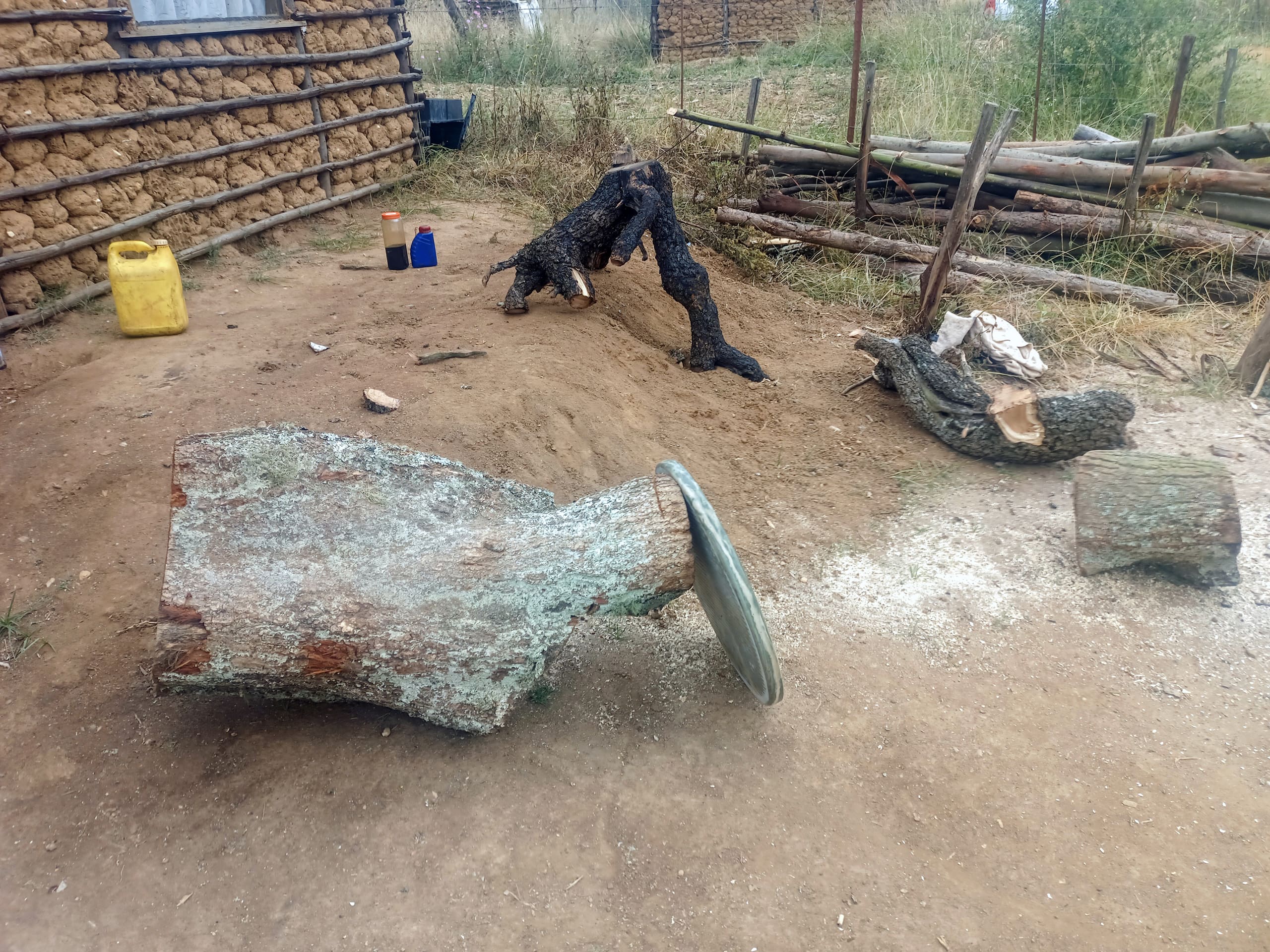 A large felled tree trunk lies on earth near a metal cover, with another log and chopped wood nearby. A yellow jerrycan, two small containers, a mud wall with a window, and wooden fencing are in the background, surrounded by dry grass.