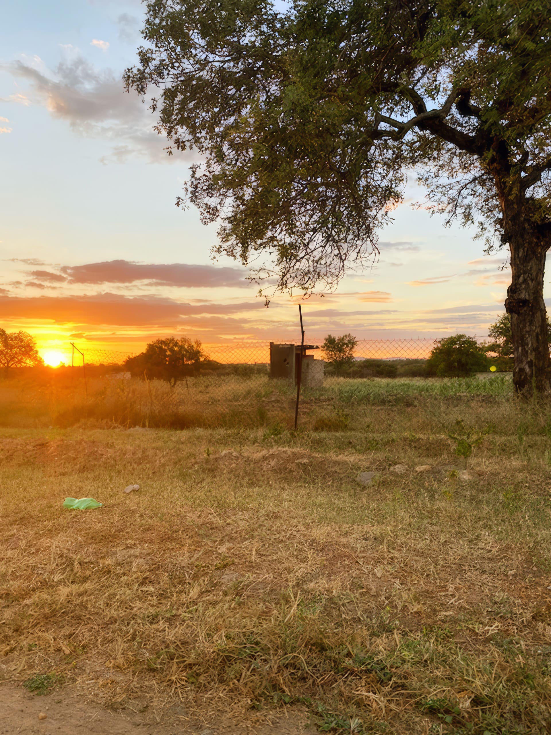 A vivid sunset glows orange and yellow over a rural landscape with dry grass, scattered trees, and a wire fence. A small, shed-like structure stands near the centre, partially shaded by a large tree on the right. Sky shows scattered clouds.