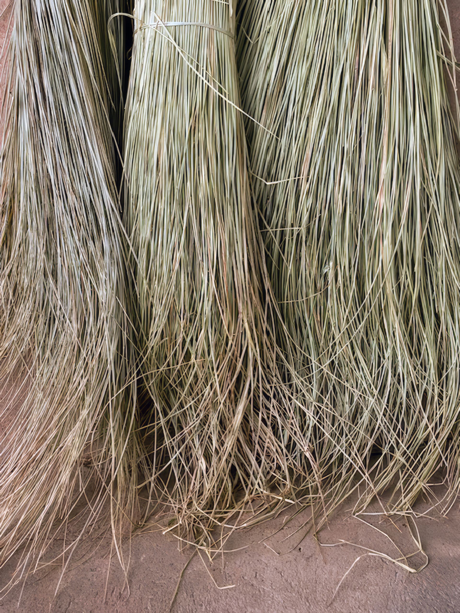 Close-up of bundles of long, thin, dried grass or straw leaning vertically against a rough brown wall, with the tips of the grass spreading out on the ground. The texture is coarse and natural, and the colours are muted green and beige.