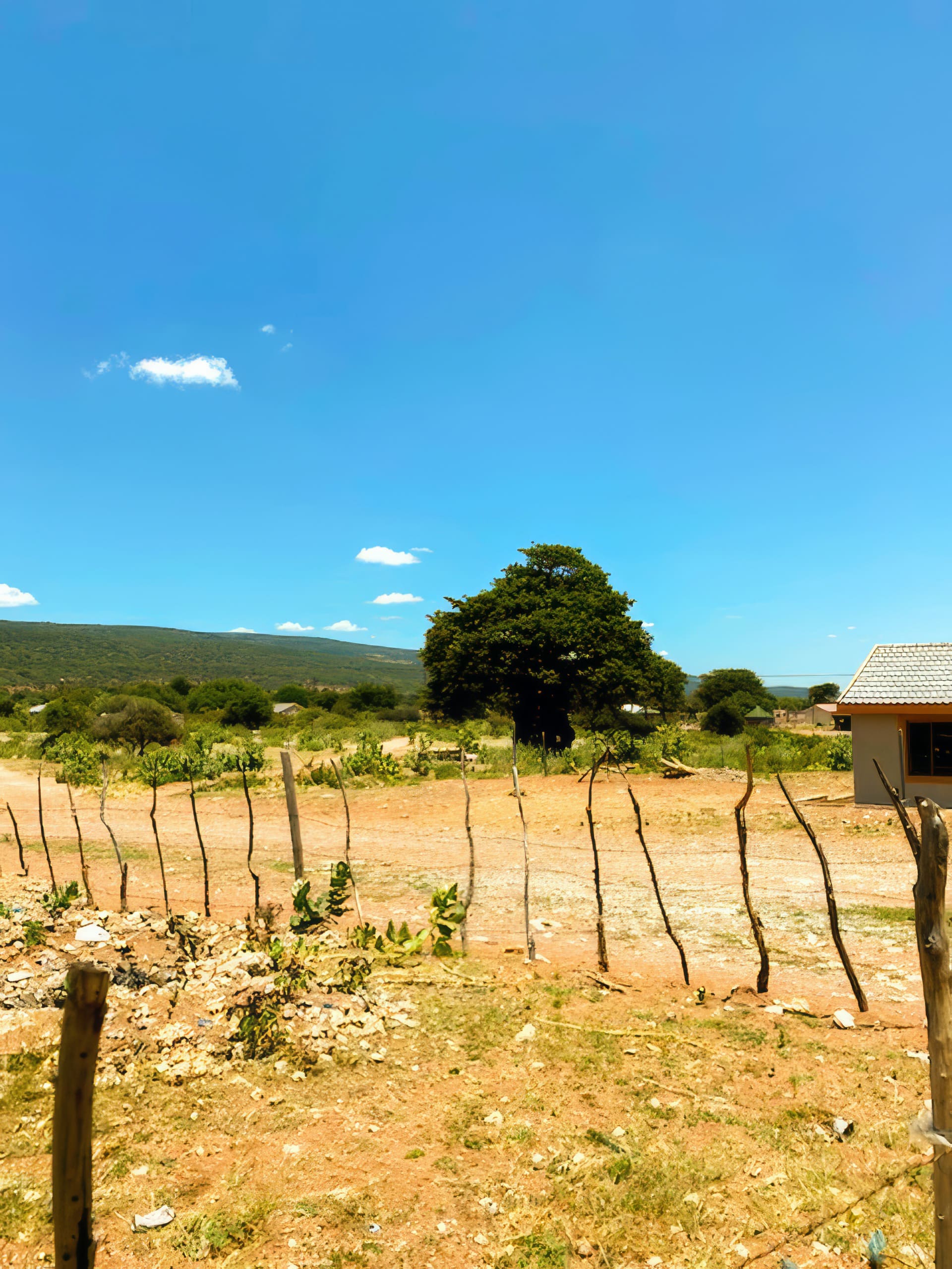 A rural landscape on a sunny day shows an earth yard bordered by a simple stick fence. In the distance are green bushes, a large tree, and rolling hills under a clear blue sky. Part of a small building with a tiled roof appears on the right.