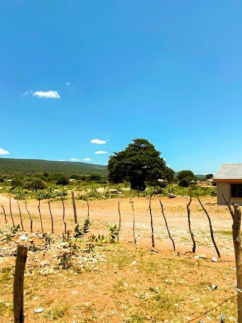 A rural landscape under a clear blue sky shows a simple wooden fence made of irregular branches, dry soil with scattered debris, green shrubs, a large tree, distant hills, and part of a house with a tiled roof on the right.
