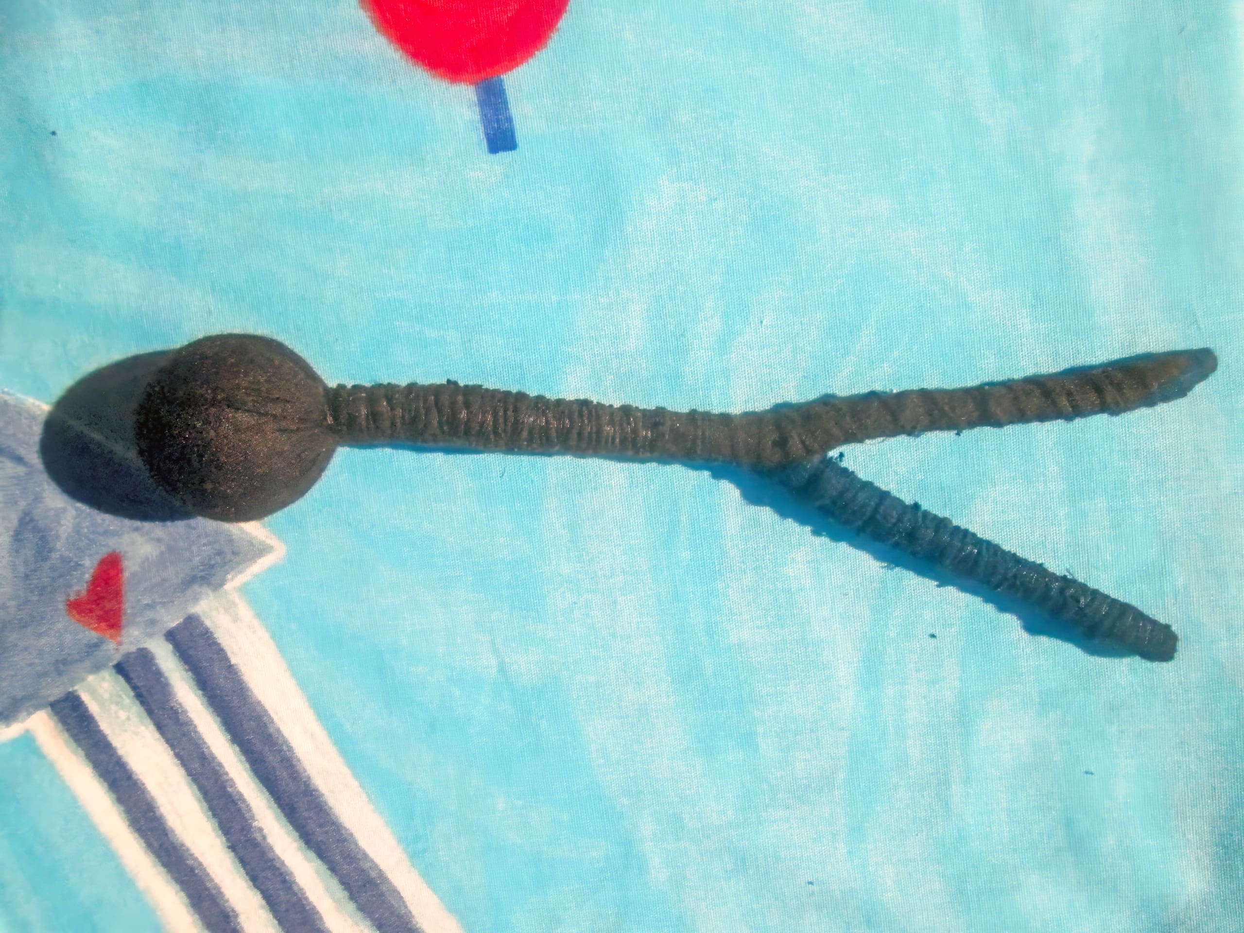 A dark, fuzzy object resembling a pair of tongs or tweezers with a round ball at one end lies on a blue patterned fabric with red and white shapes. The object casts a shadow on the light blue background.