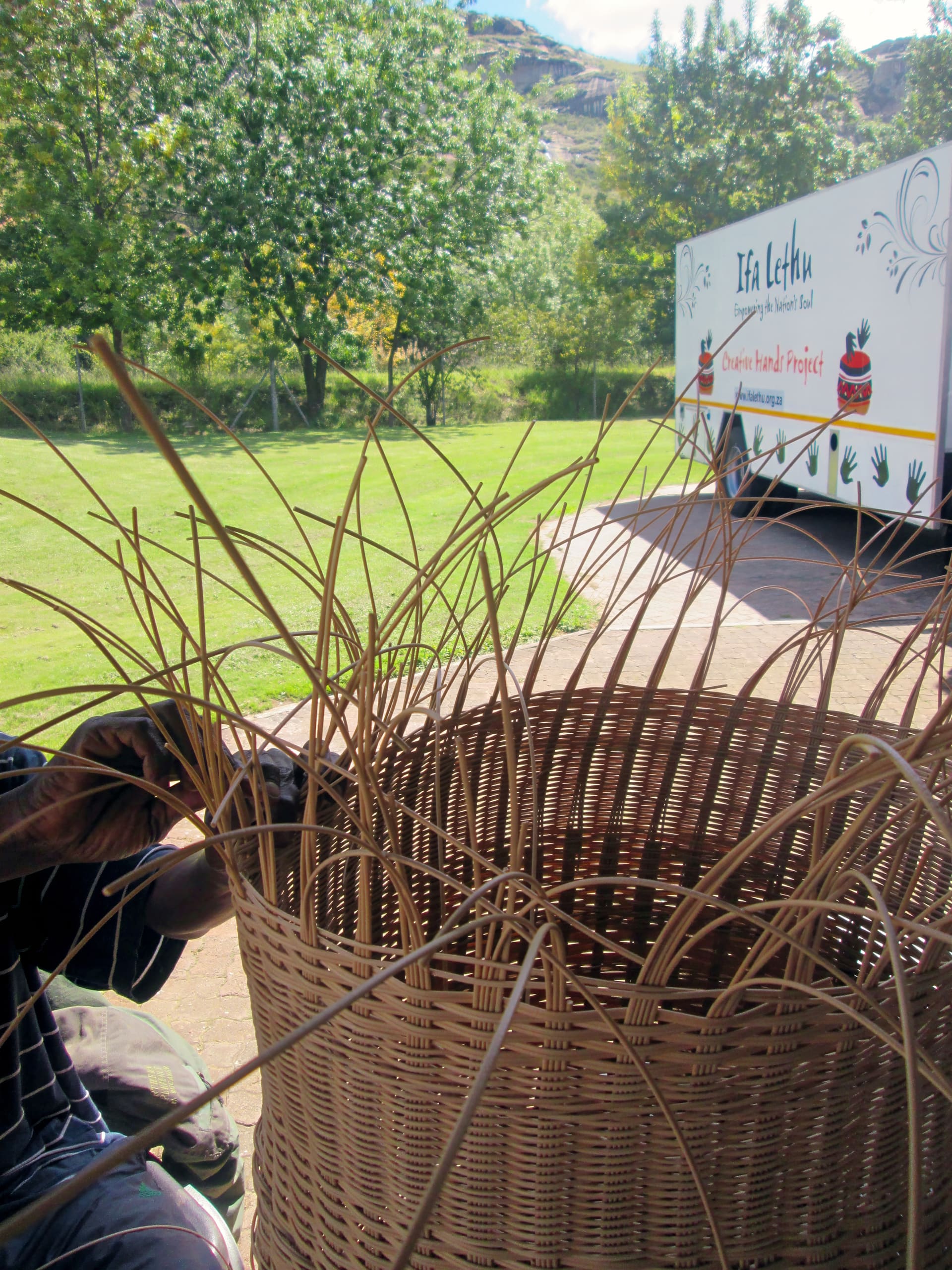 A person weaves a large basket from thin reeds outdoors on a sunny day. In the background, there is a grassy lawn, trees, and a white lorry with creative graphics and text that reads “Ifa Lethu” and mentions a creative hand project.