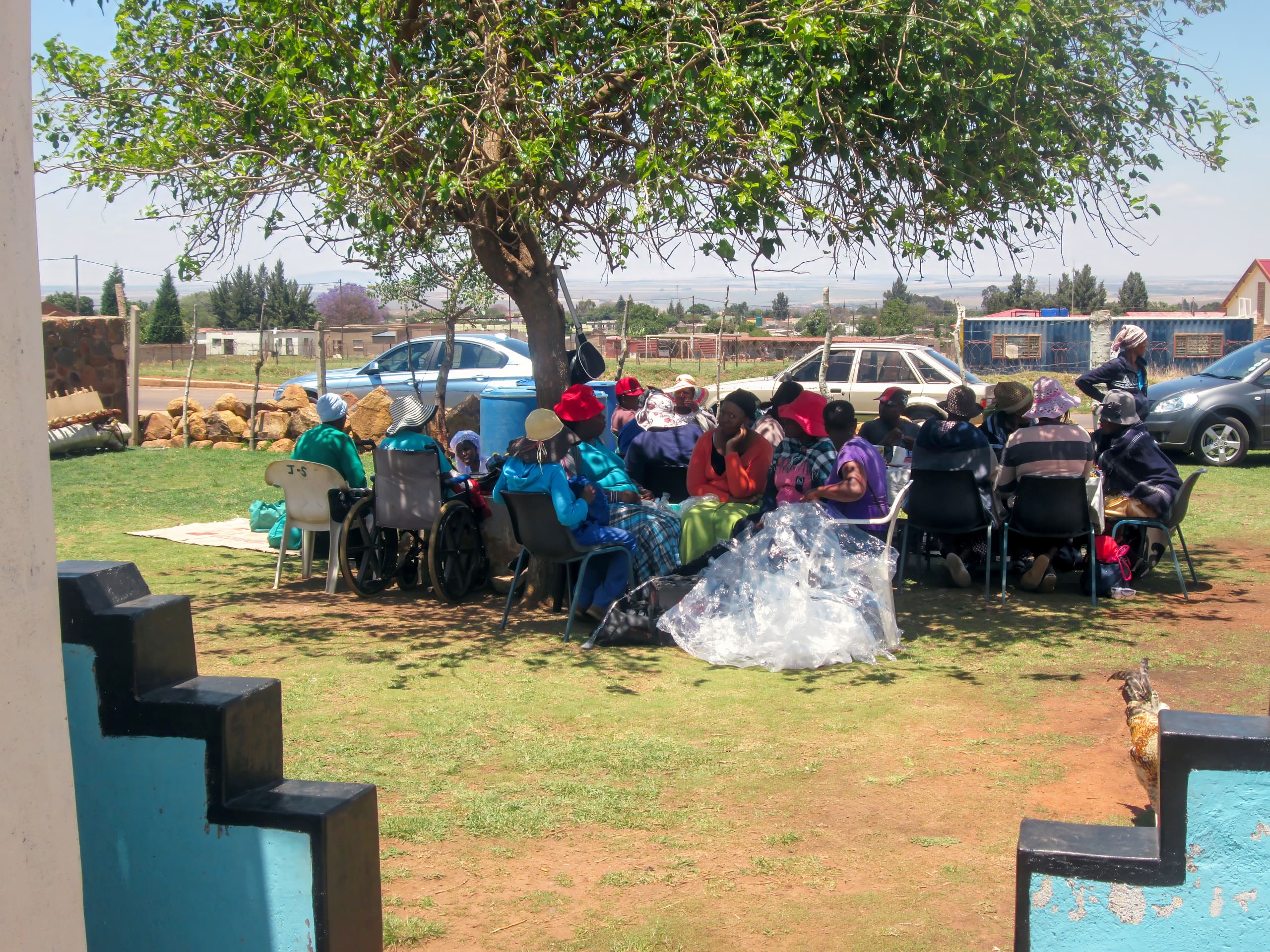 A group of people, mostly women in colourful clothing and hats, sit together in a circle under a large tree on a lawn. Some use wheelchairs. Nearby, there are cars parked and suburban houses in the background on a sunny day.