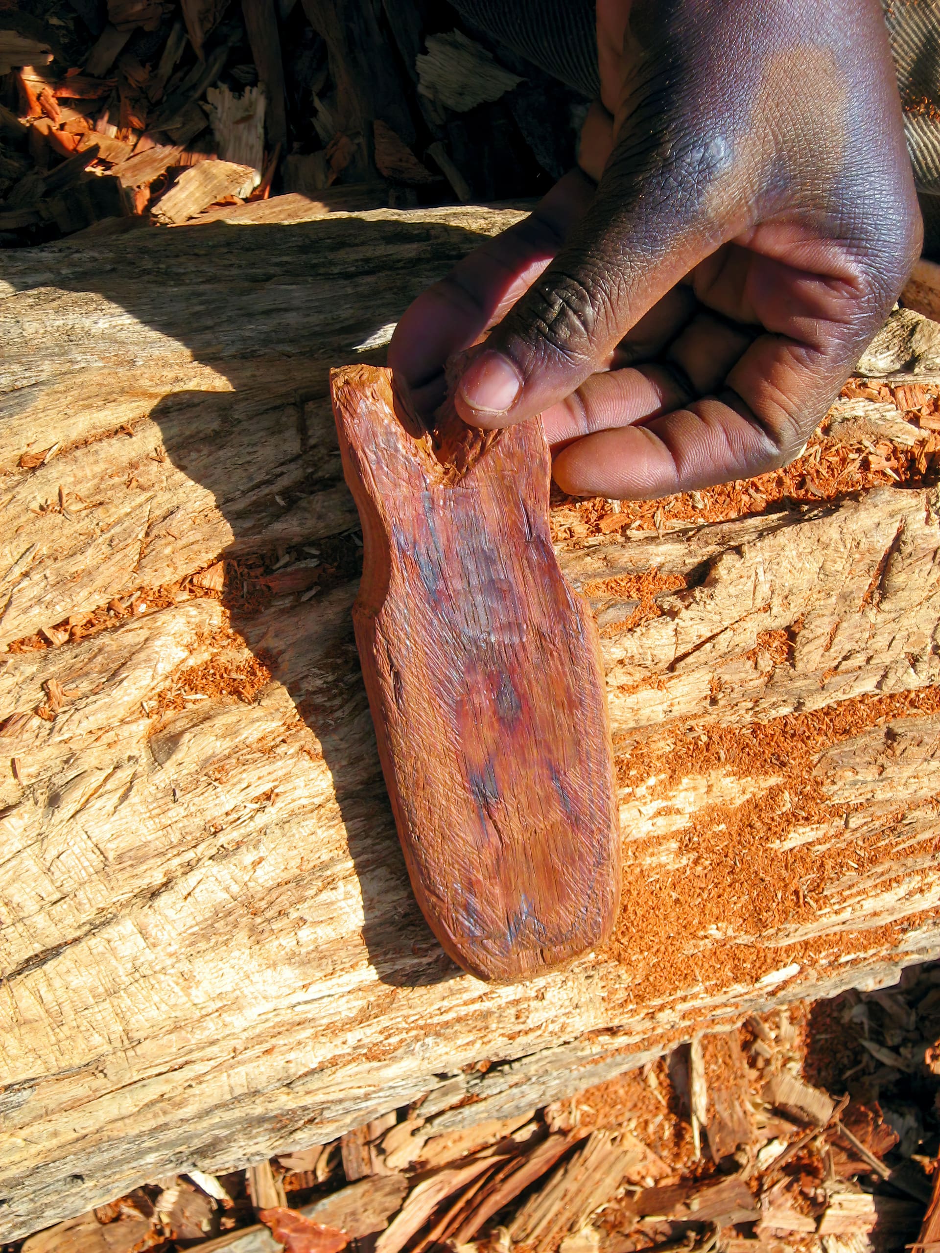 A dark-skinned hand holds a small, unfinished wooden carving shaped like an animal, possibly a cat or dog, above a rough log with scattered wood shavings and bright sunlight highlighting the textures.