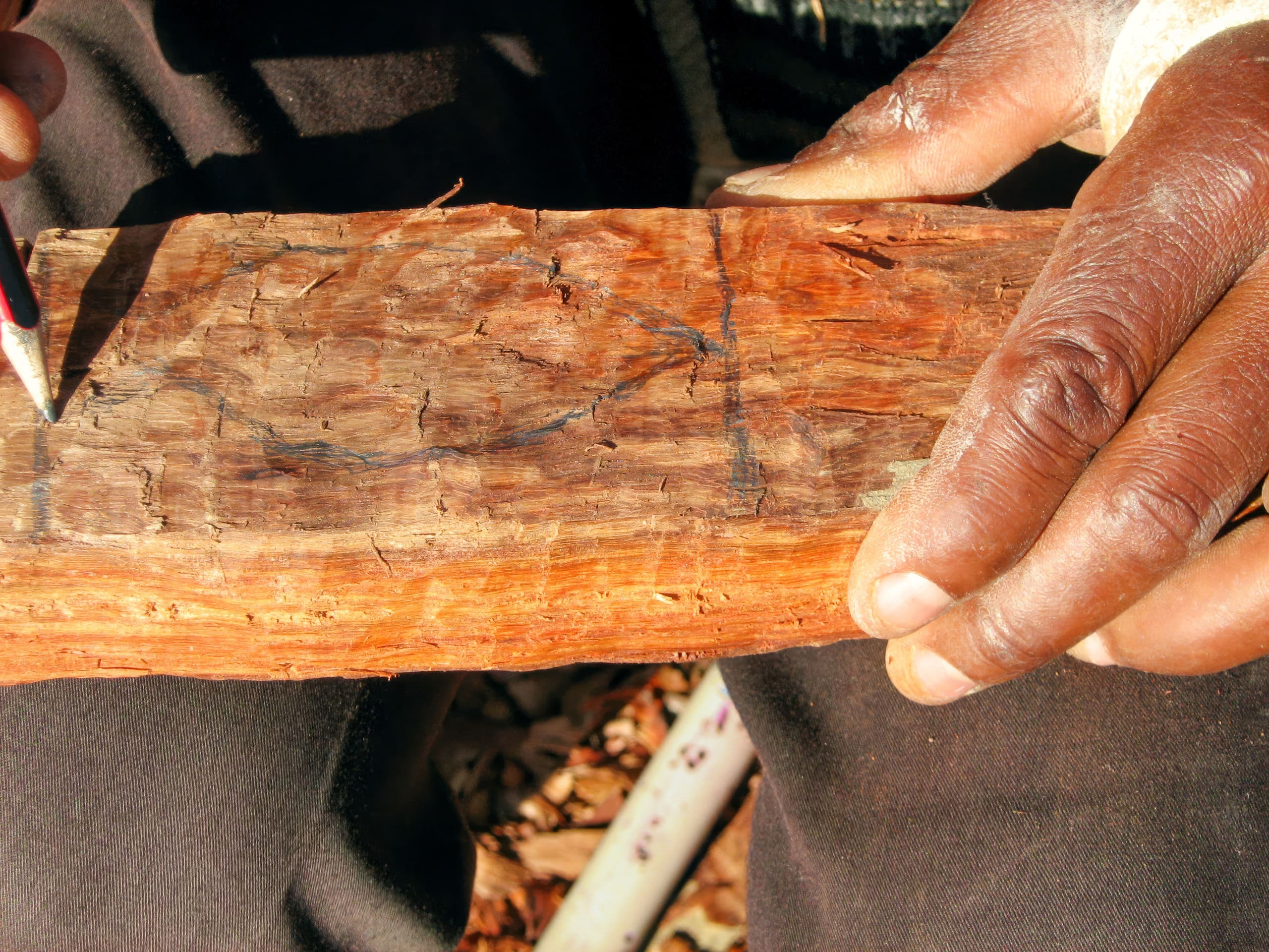A close-up of two hands holding a rough piece of wood. One hand holds the wood steady while the other uses a pencil to draw a squiggly black line on its surface. The wood is reddish-brown with a textured, uneven finish.
