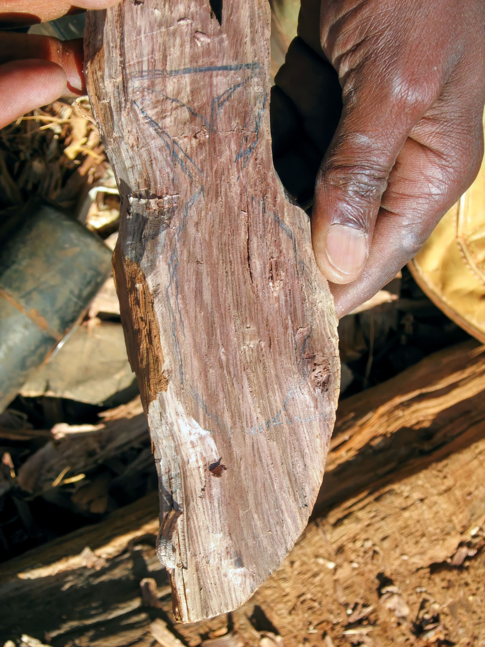 A close-up of a person’s hand holding a rough, uneven piece of wood. The person’s dark-skinned fingers grip the edge, and faint pencil markings are visible on the wood’s textured surface. The background shows soil, dried leaves, and part of a yellow trainer.