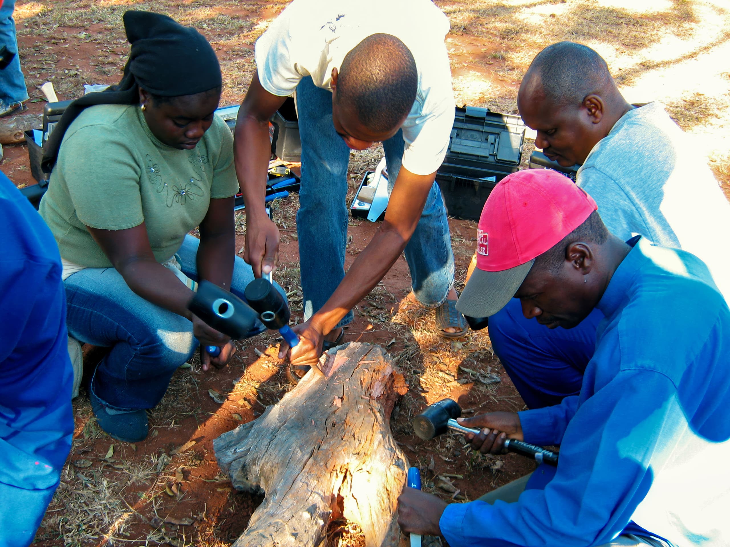 Four people gather around a large log outdoors, using tools to work on it. Two men hold hammers, one man holds pliers, and a woman watches closely. The ground is reddish-brown earth and dry grass, with toolboxes nearby.