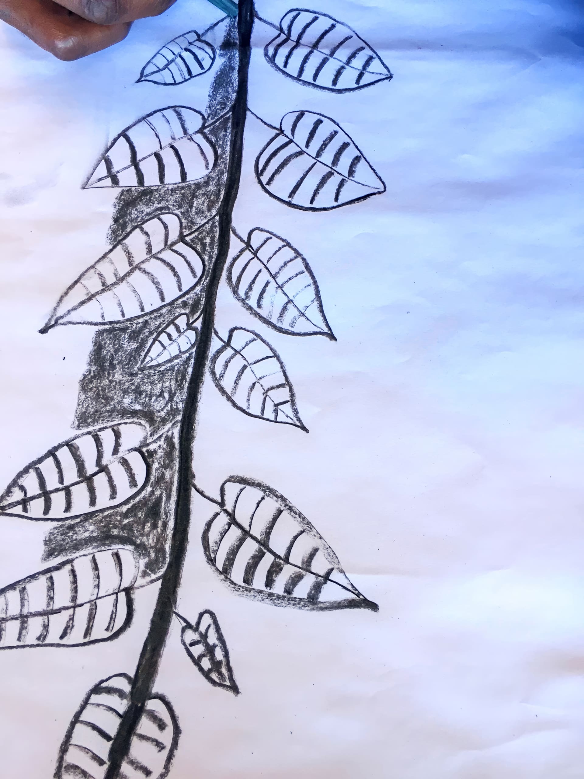 A hand draws a plant with charcoal on white paper. The plant has a thick stem with several leaves on both sides. Each leaf is outlined and contains bold, curved lines representing veins. The top of the image shows the person’s hand holding the charcoal.