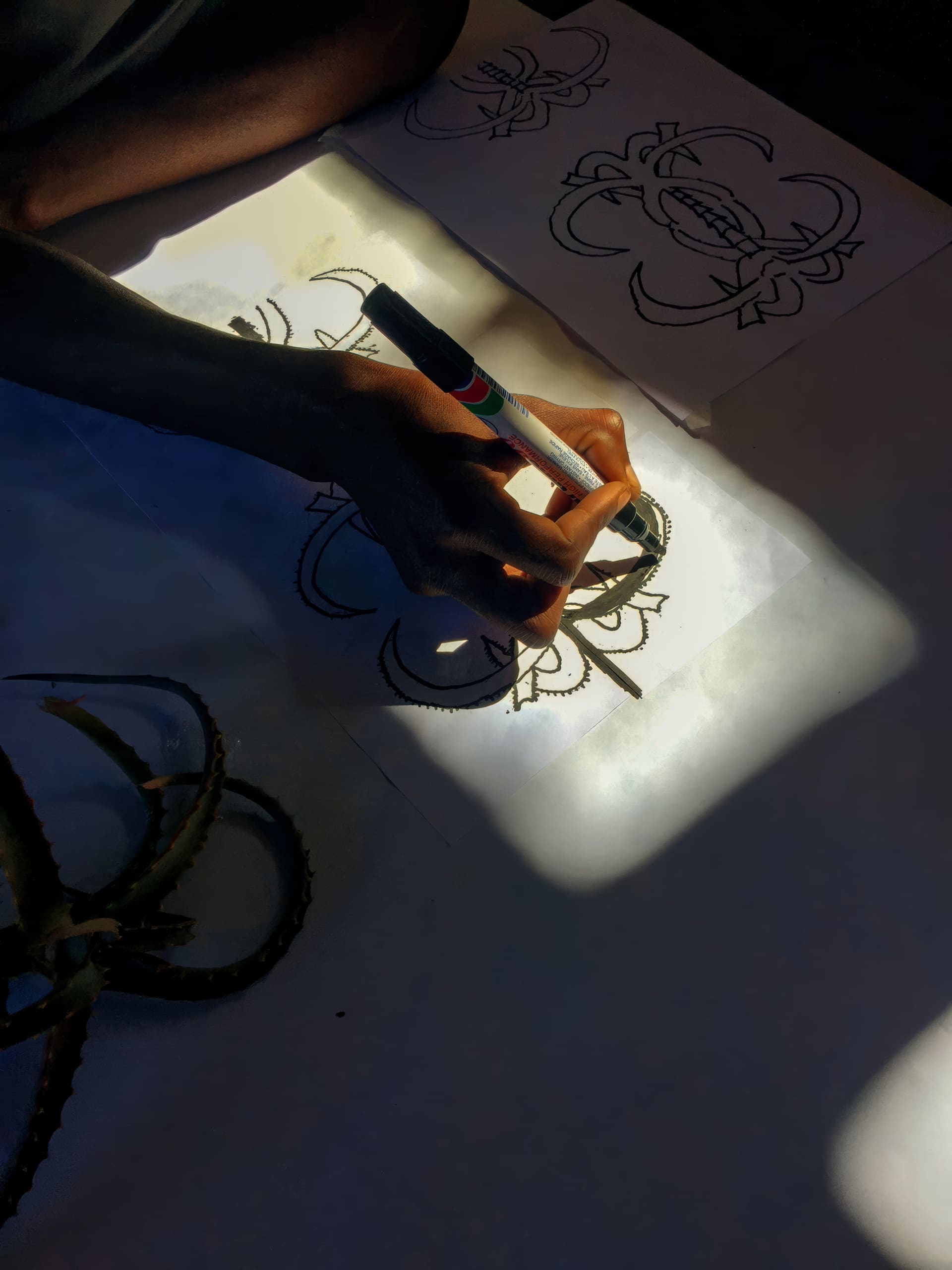 A hand holding a black marker traces over a detailed floral line drawing on white paper, illuminated by a beam of sunlight. Other similar sketches and part of a plant with long, curved leaves are visible nearby in the shadow.
