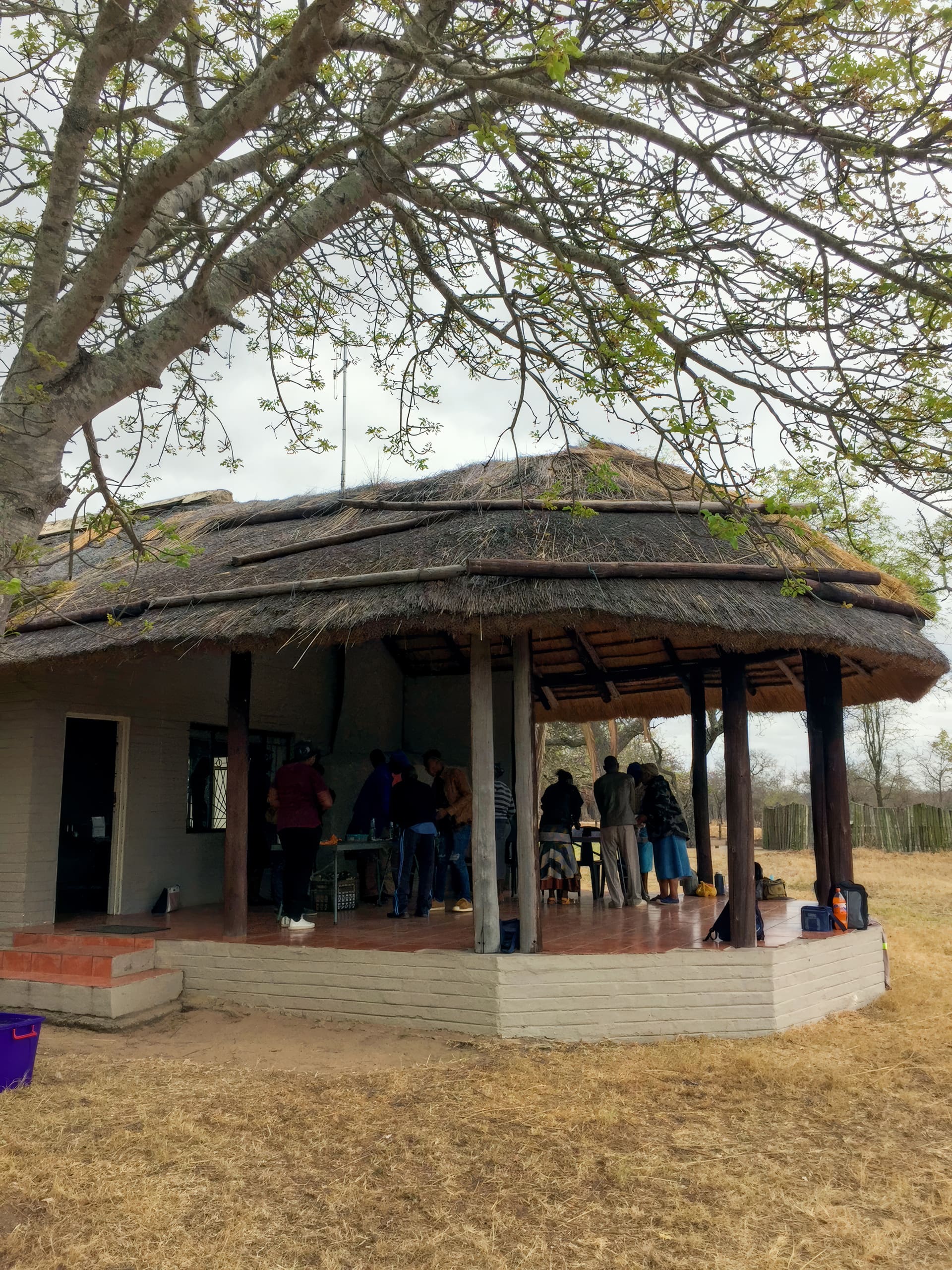 A group of people stand and sit under a large thatched-roof hut with open sides. The hut is surrounded by dry grass, and a tree with sparse green leaves stretches overhead. Luggage and rucksacks are scattered near the edge of the hut.