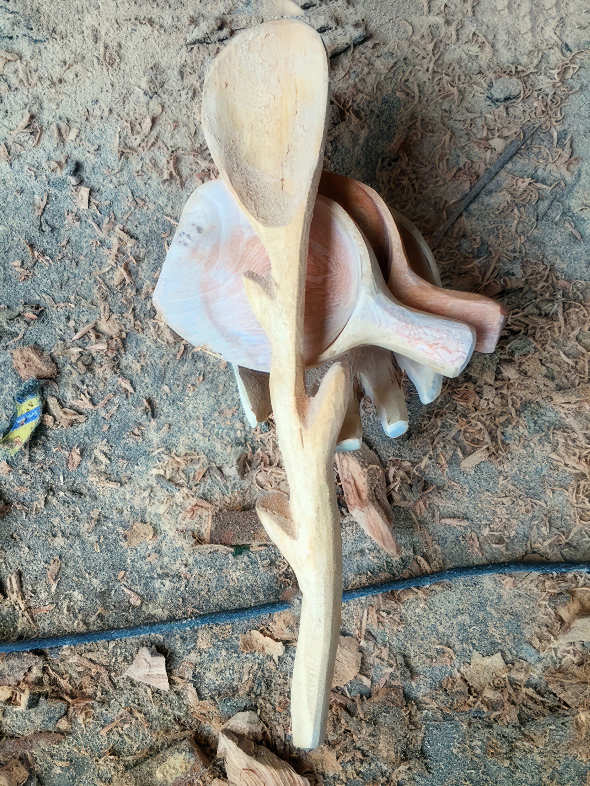 A hand-carved wooden spoon with a branch-like handle lies on a work surface covered in wood shavings. Several other unfinished wooden spoons are stacked underneath, showing the natural colour and grain of the wood. A blue-handled tool is partially visible to the side.