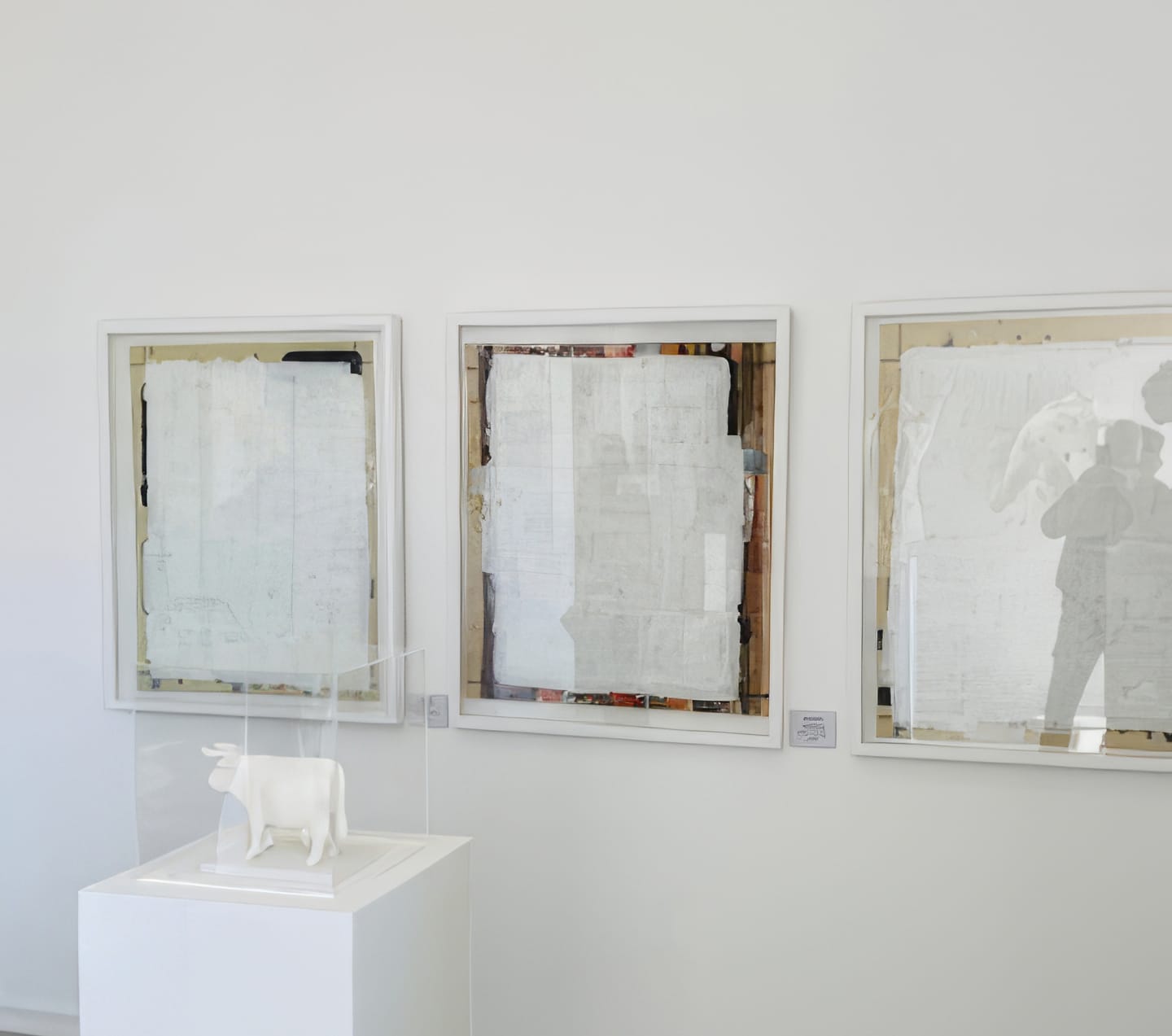 A white-walled gallery shows three framed, abstract artworks with pale, textured surfaces. In front, a small white sculpture of a cow stands on a plinth inside a clear box—a quiet scene reflecting the Weight of Silence at Contra.Joburg.